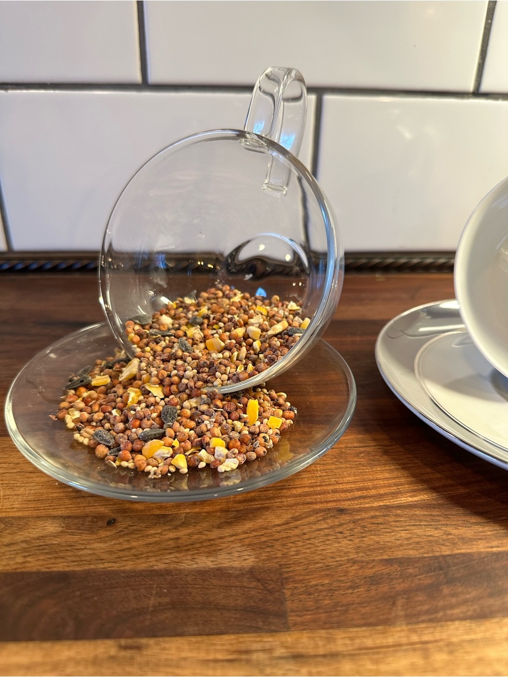Clear Glass Teacup & saucer bird feeder